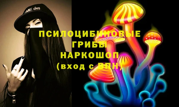 спиды Вяземский