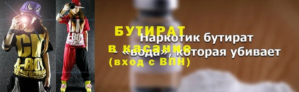 прущие грибы Вязьма