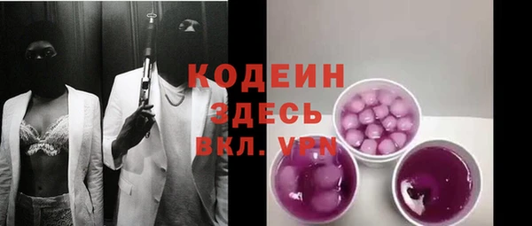 гашик Горняк