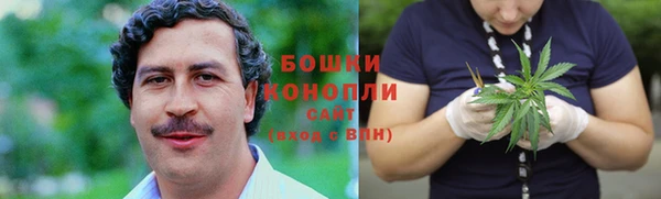 спиды Вяземский