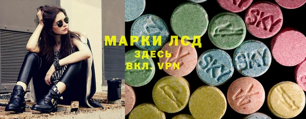 прущие грибы Вязьма