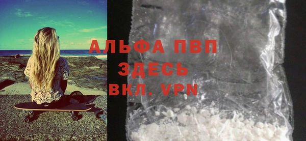 прущие грибы Вязьма