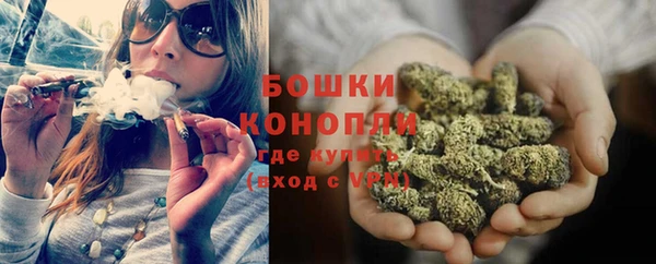 спиды Вяземский