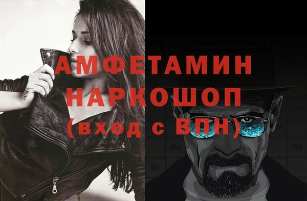 прущие грибы Вязьма