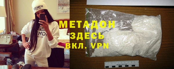 прущие грибы Вязьма