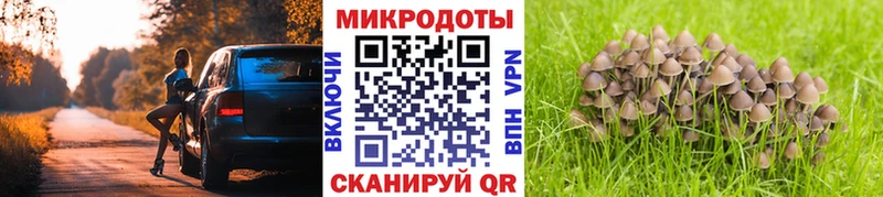 Псилоцибиновые грибы Psilocybe  Абакан 